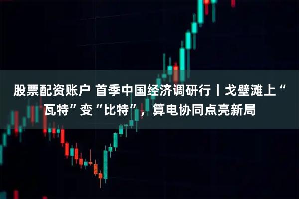股票配资账户 首季中国经济调研行丨戈壁滩上“瓦特”变“比特”，算电协同点亮新局